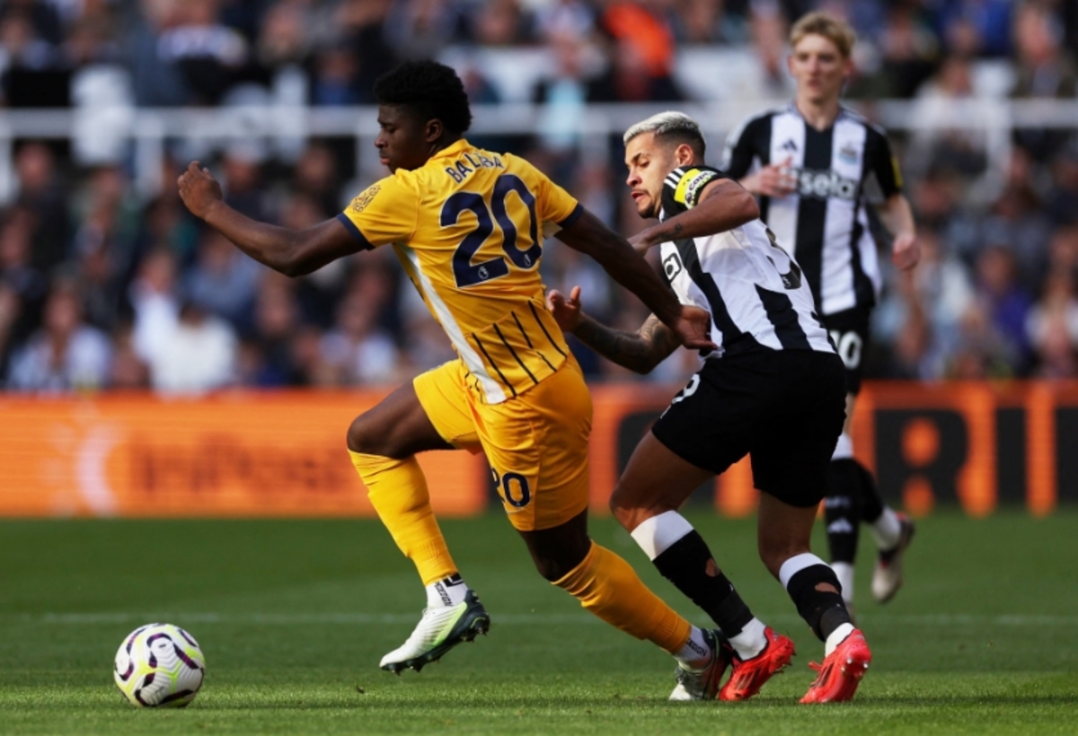 Soi kèo và nhận định Newcastle - Brighton