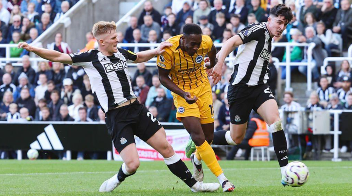 Soi kèo và nhận định Brighton - Newcastle